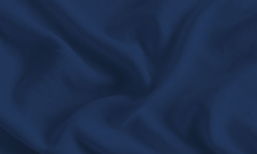 Blue 301 fabric swatch