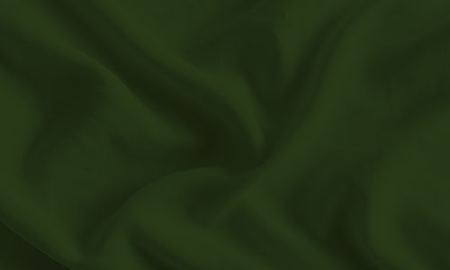 Green 412 fabric swatch